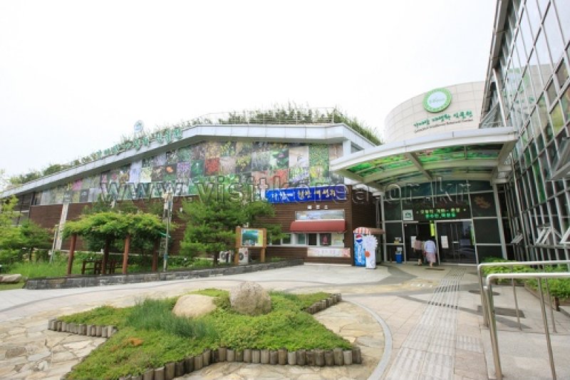 伽倻山野生花植物園