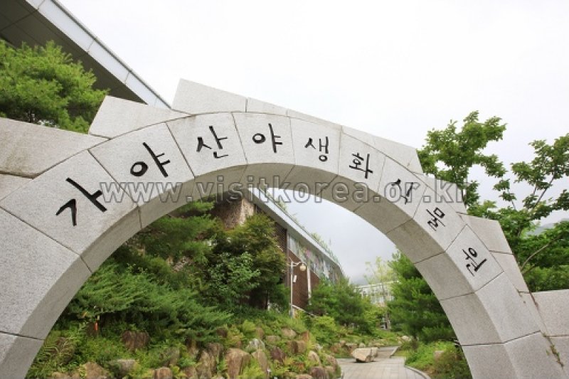 伽倻山野生花植物園
