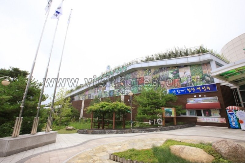 伽倻山野生花植物園