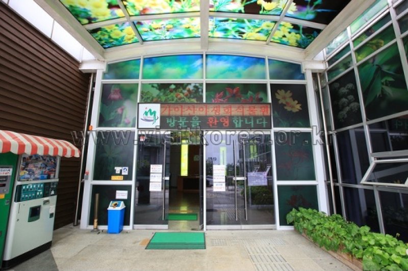 伽倻山野生花植物園
