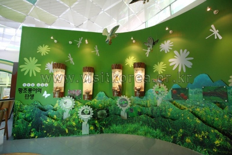 伽倻山野生花植物園