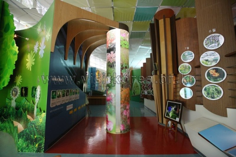 伽倻山野生花植物園