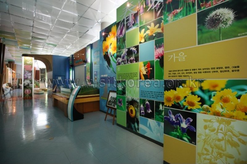 伽倻山野生花植物園