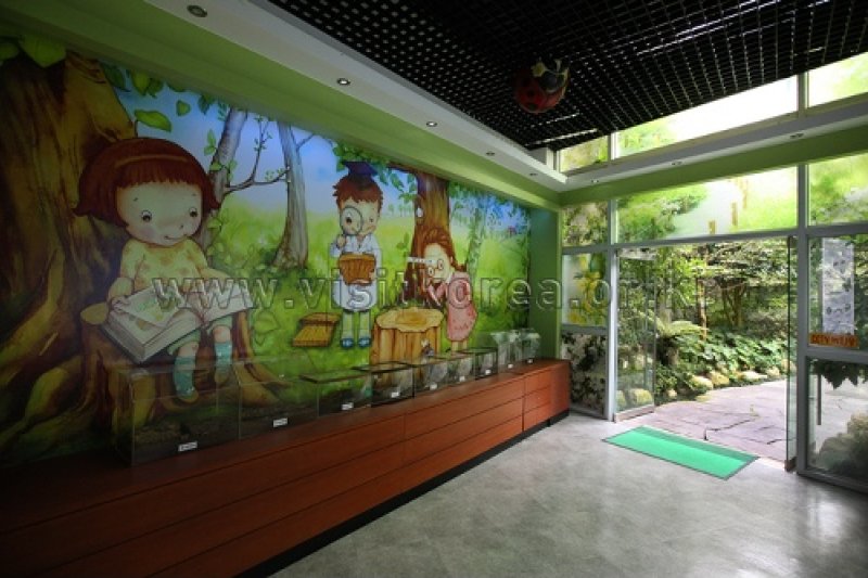 伽倻山野生花植物園