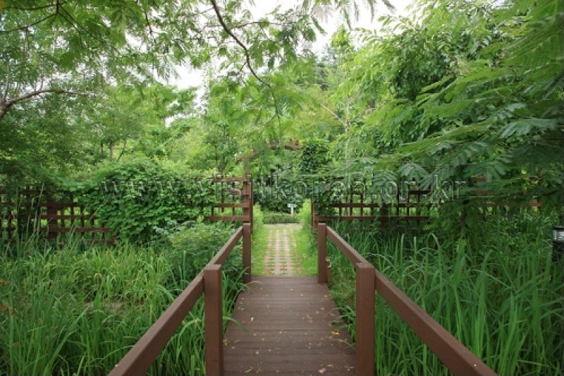 伽倻山野生花植物園