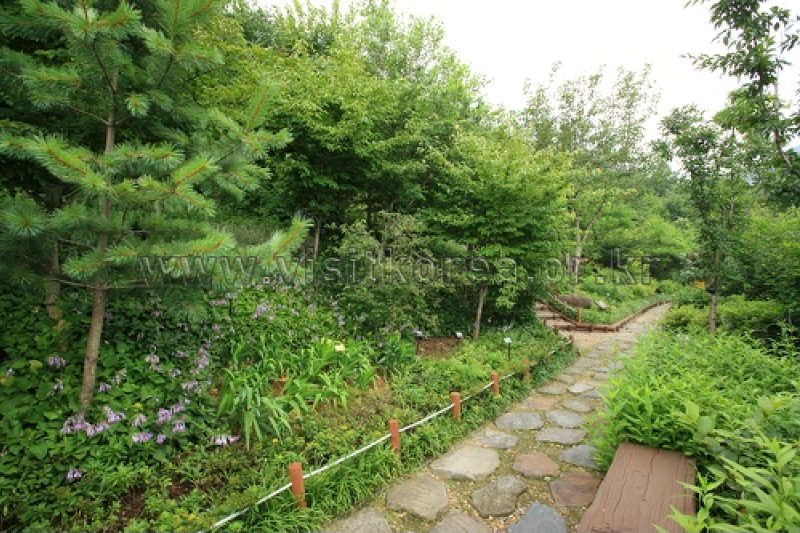 伽倻山野生花植物園