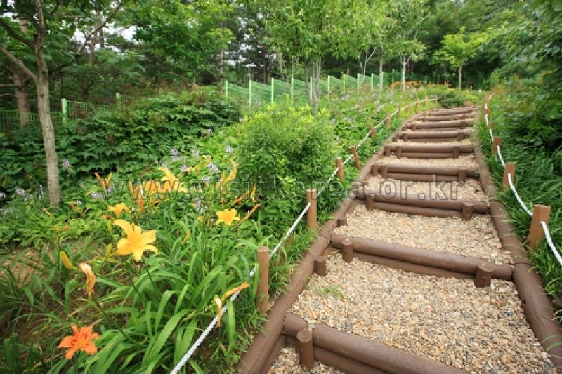 伽倻山野生花植物園