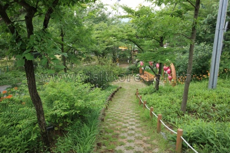 伽倻山野生花植物園