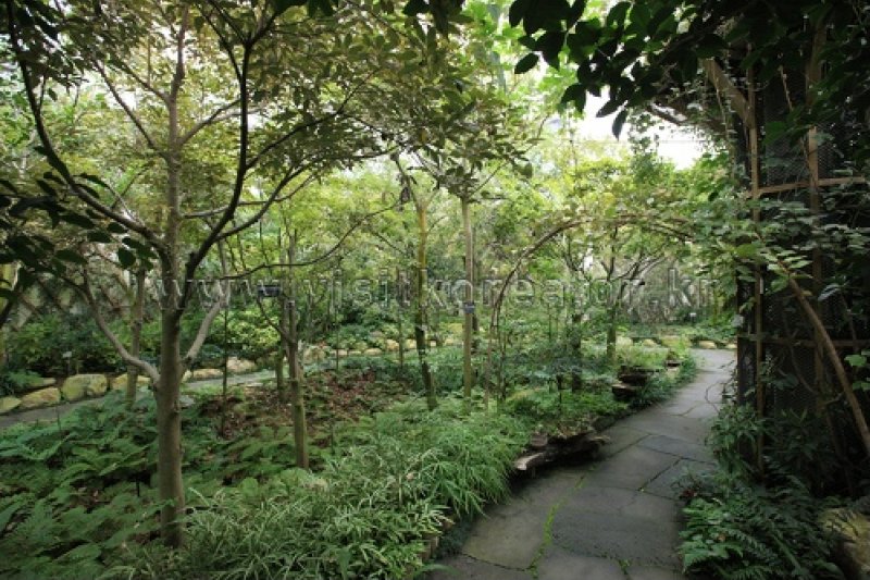 伽倻山野生花植物園