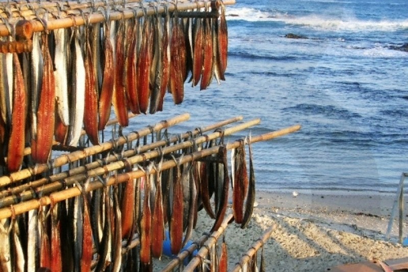 浦項九龍浦秋刀魚乾慶典 (2/3)