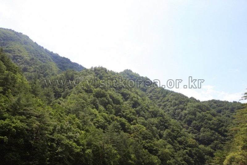 鷹峰山 (1/1)