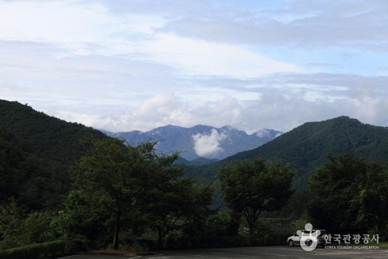 鳥嶺山 (2/20)