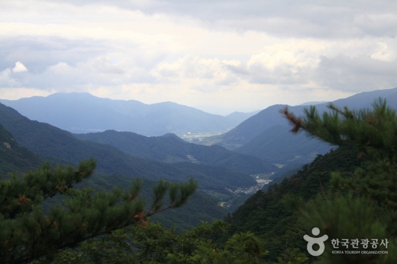 鳥嶺山 (4/20)