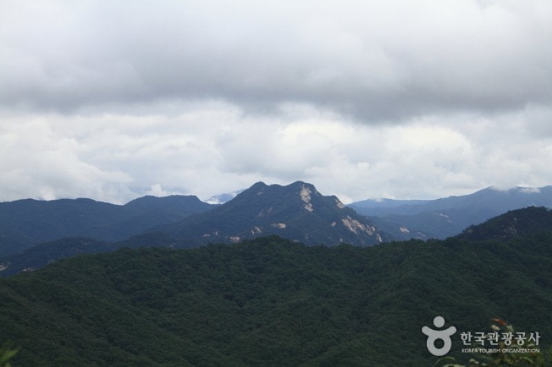鳥嶺山 (5/20)
