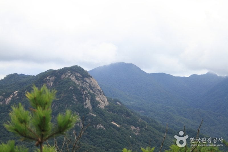 鳥嶺山 (6/20)