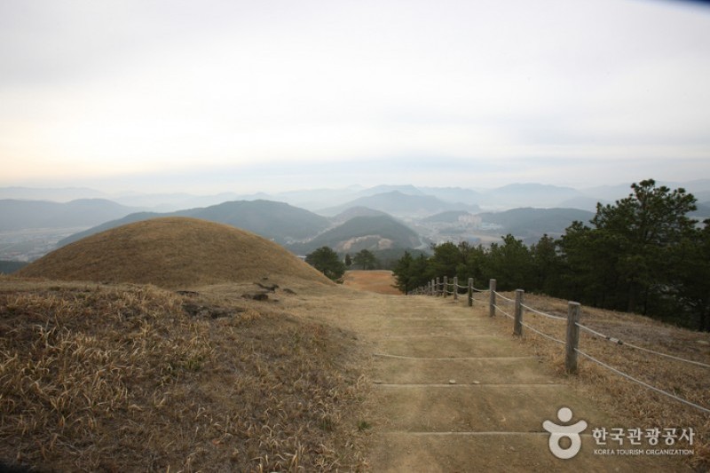 高靈池山洞古墳群 (6/13)