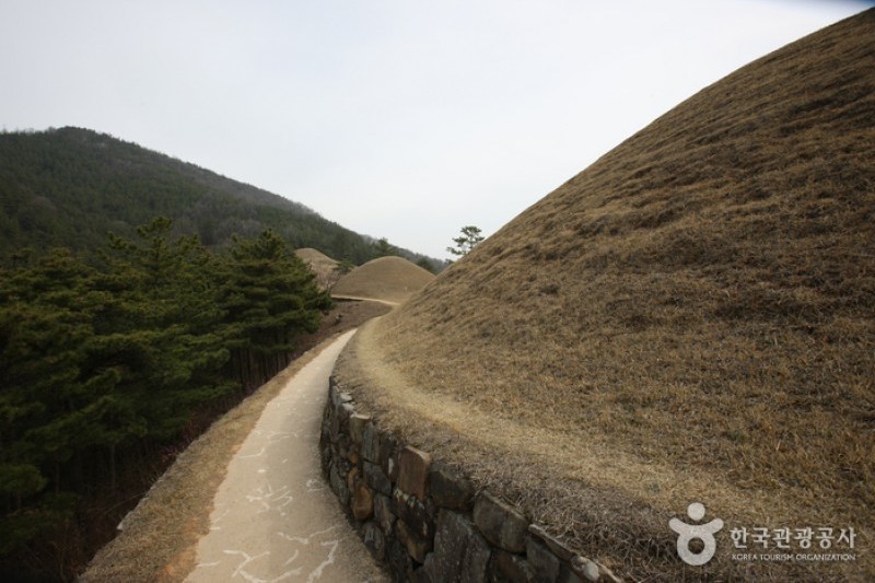 高靈池山洞古墳群 (7/13)