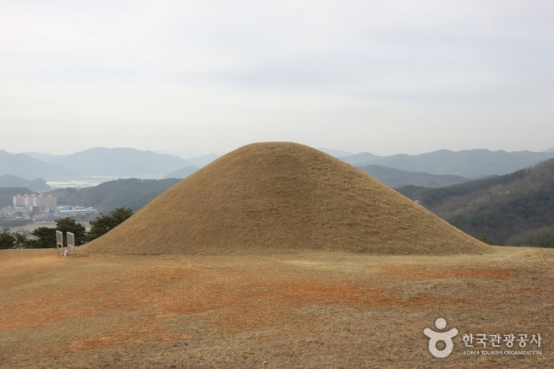 高靈池山洞古墳群 (8/13)