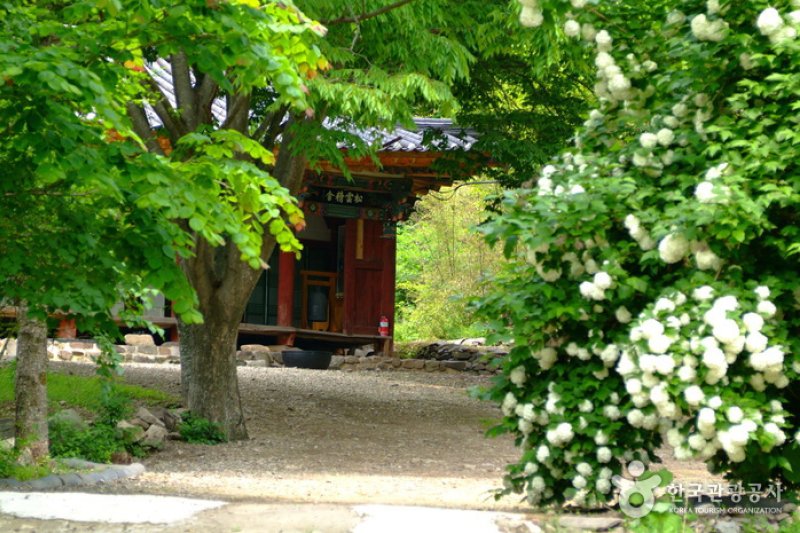 白蓮庵 (2/3)