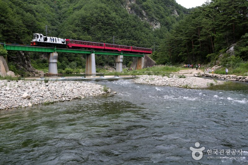 白頭大幹峽谷列車 (1/7)
