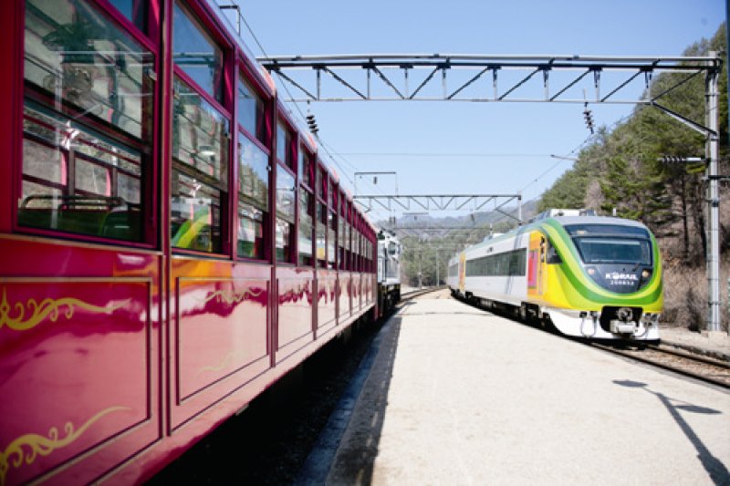 白頭大幹峽谷列車 (4/7)