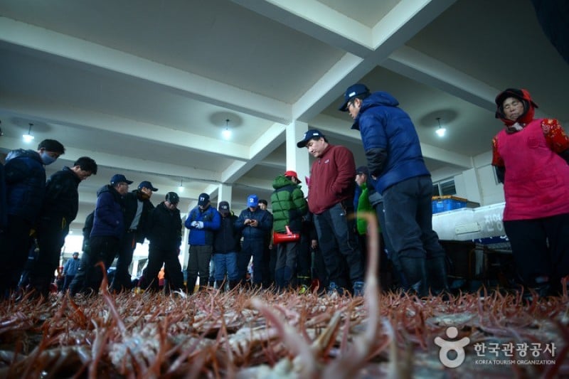 蔚珍竹蟹及紅蟹節 (2/6)