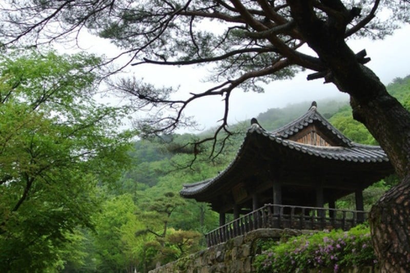 聞慶鳥嶺道立公園 (43/46)
