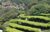 外島Botania