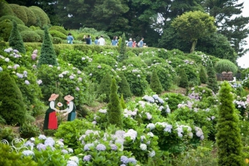 外島Botania (3/12)
