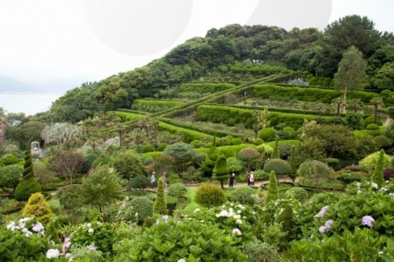 外島Botania (4/12)