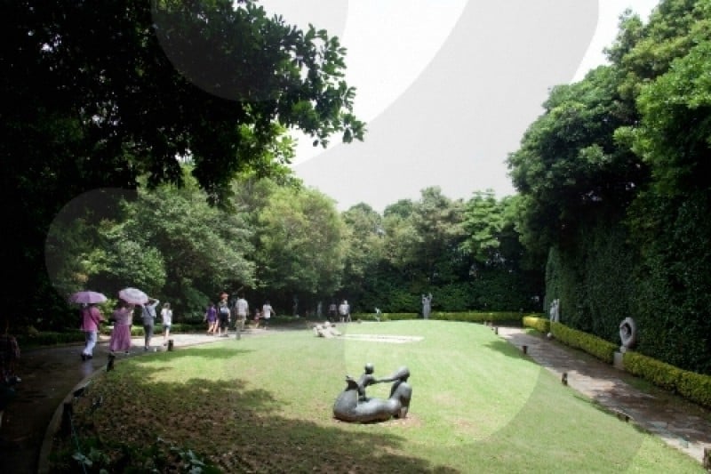 外島Botania (9/12)