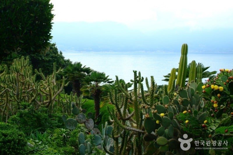 外島Botania (12/12)
