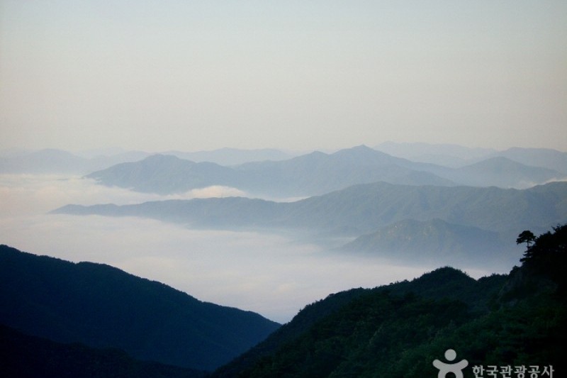 智異山國立公園