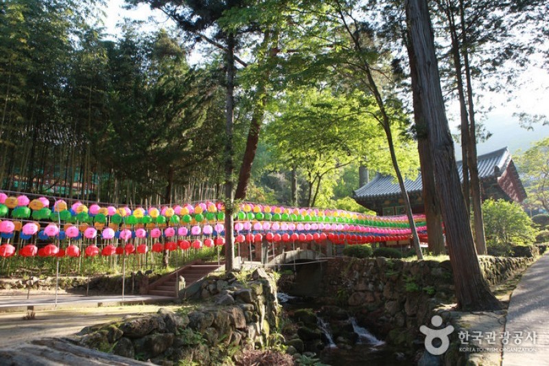雙蹊寺  (35/36)