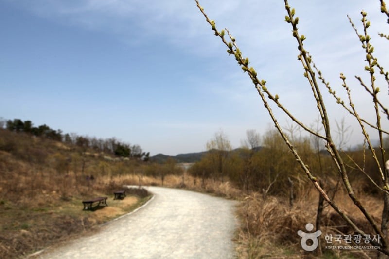 牛浦沼澤生態公園
