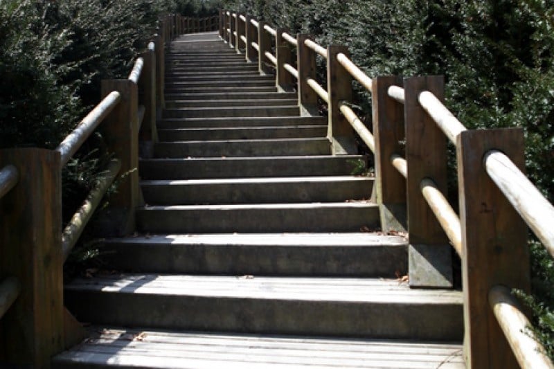 牛浦沼澤生態公園