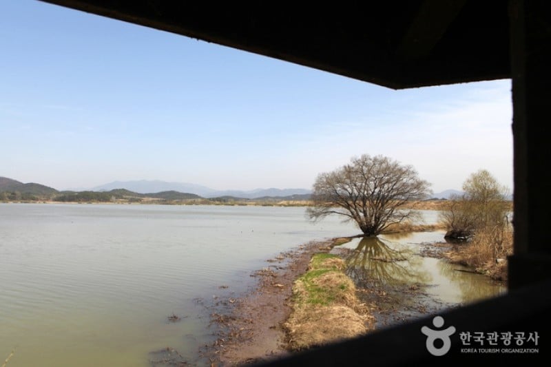 牛浦沼澤生態公園