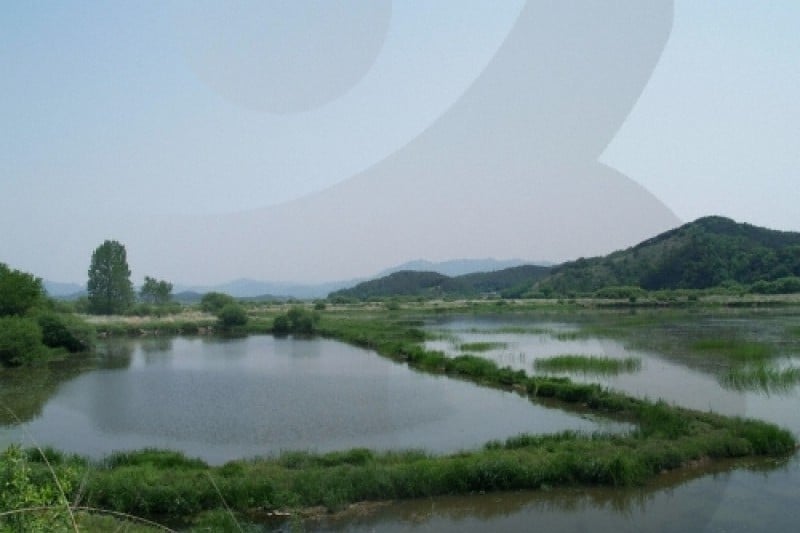 牛浦沼澤生態公園