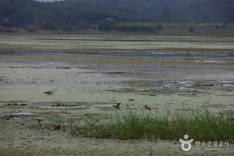 牛浦沼澤生態公園
