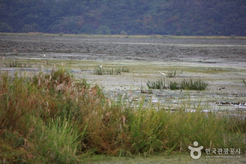 牛浦沼澤生態公園