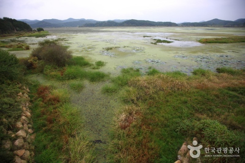 牛浦沼澤生態公園