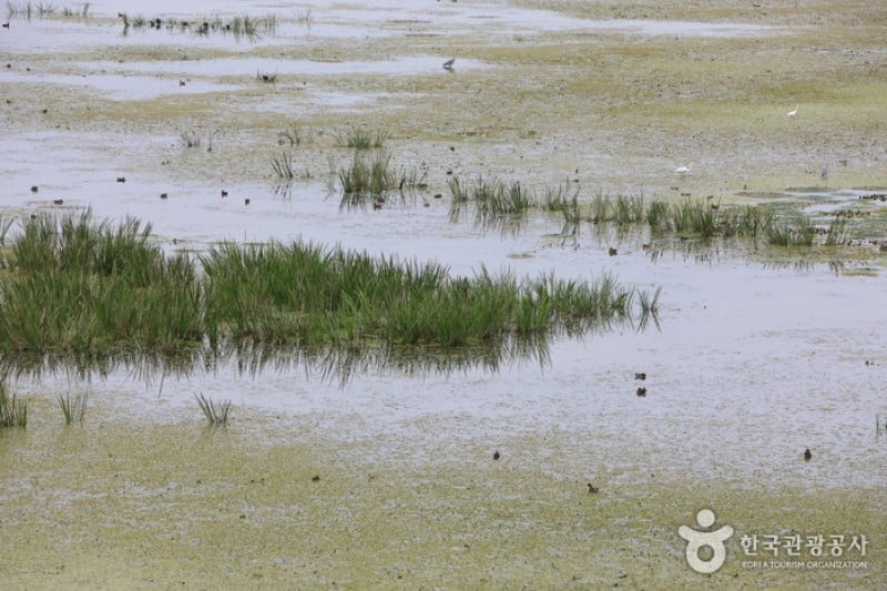 牛浦沼澤生態公園