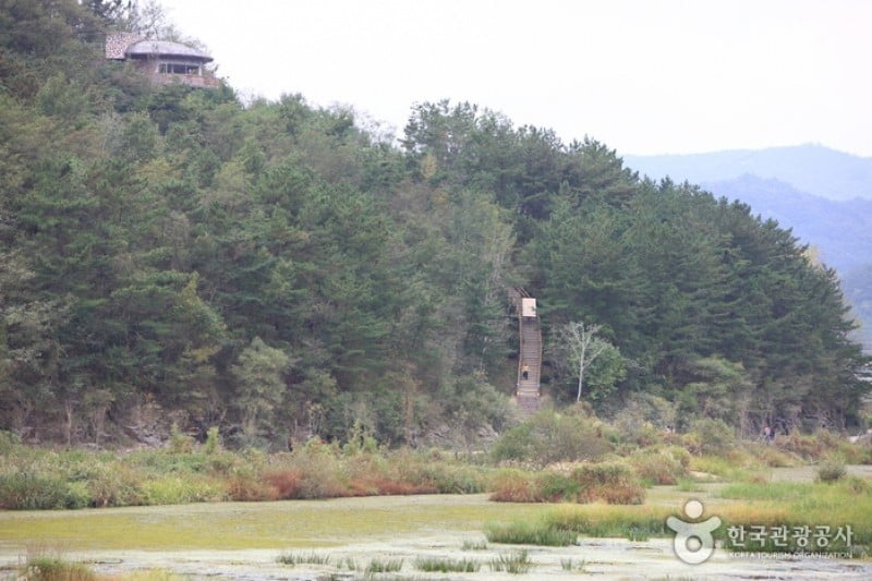 牛浦沼澤生態公園