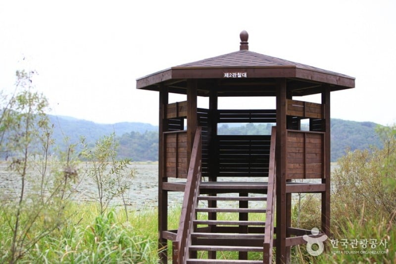 牛浦沼澤生態公園