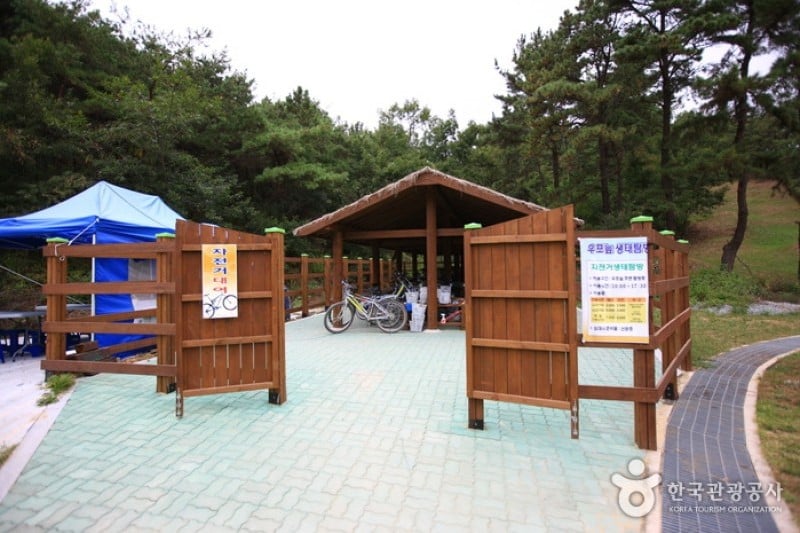 牛浦沼澤生態公園
