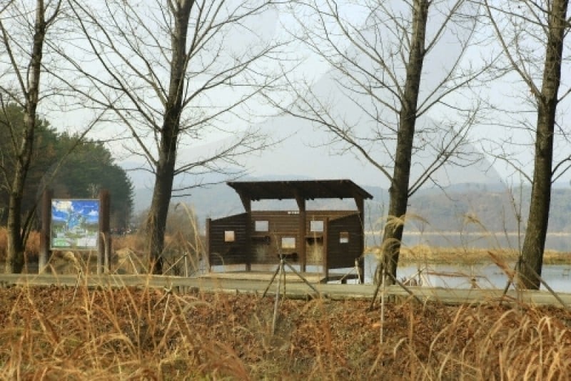 牛浦沼澤生態公園