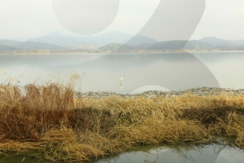 牛浦沼澤生態公園