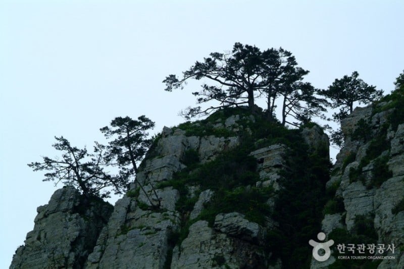 巨濟島海金剛 (1/5)
