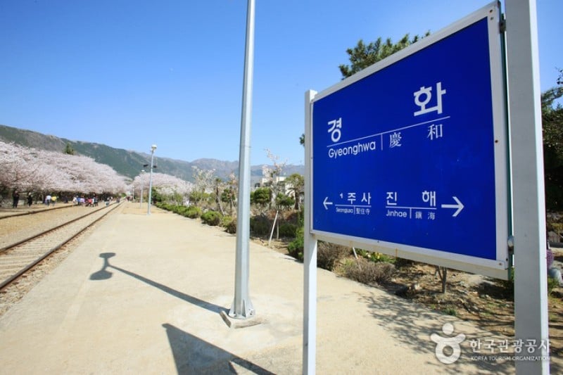 慶和站櫻花路