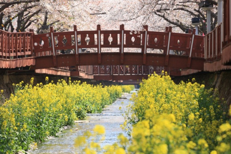 余佐川